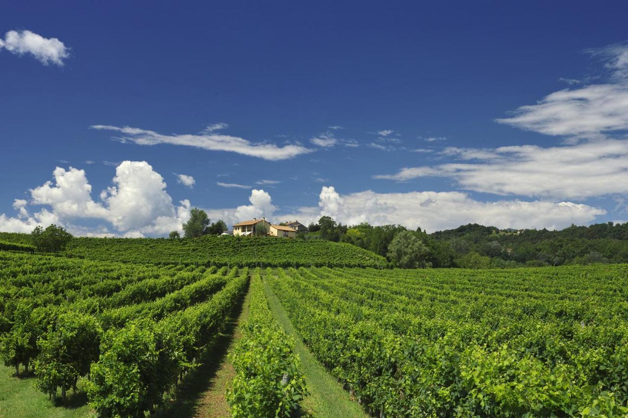 Agriturismo Moro Barel Vittorio Veneto Dış mekan fotoğraf